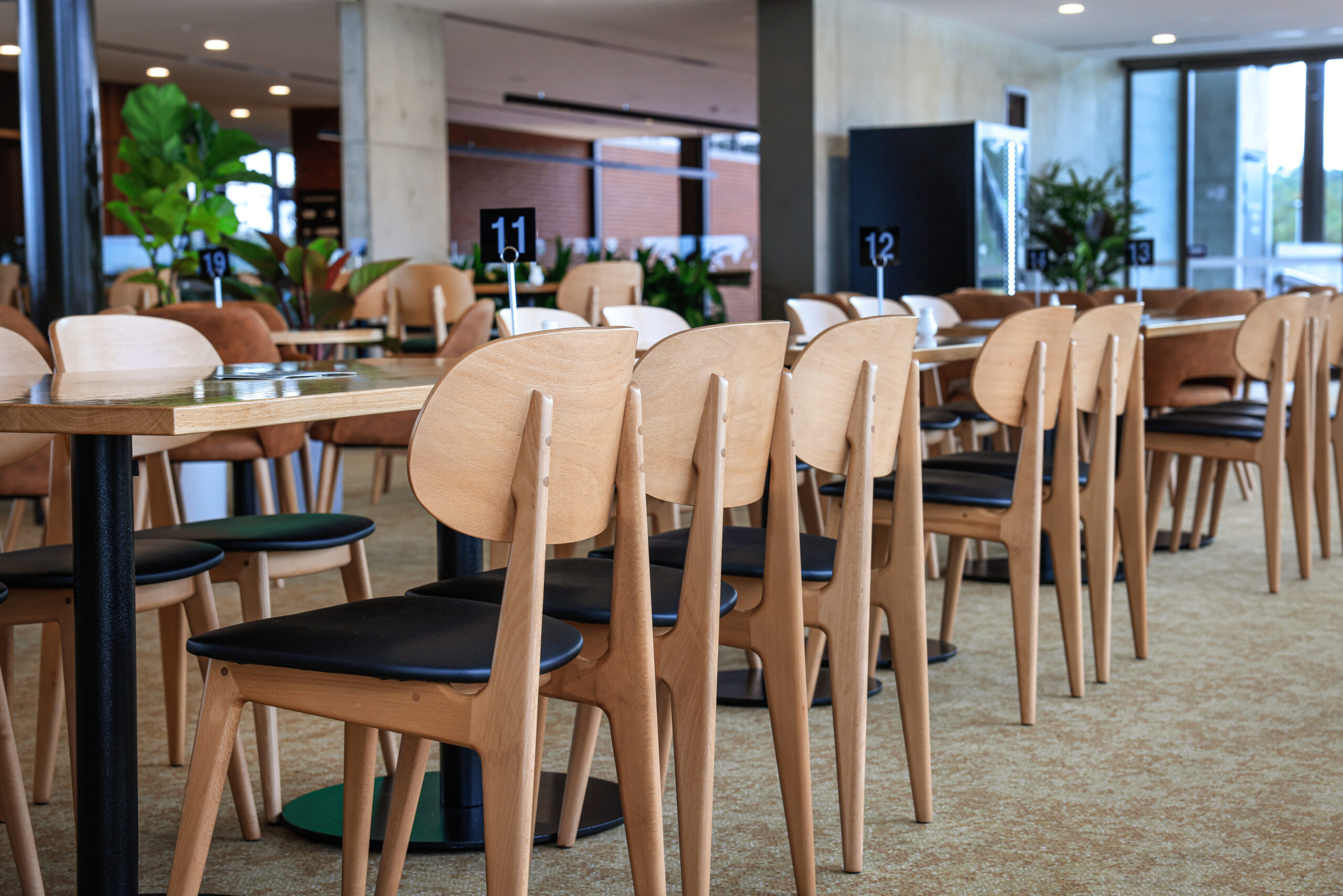 Qld-Greyhound-Racing-Ipswich-05