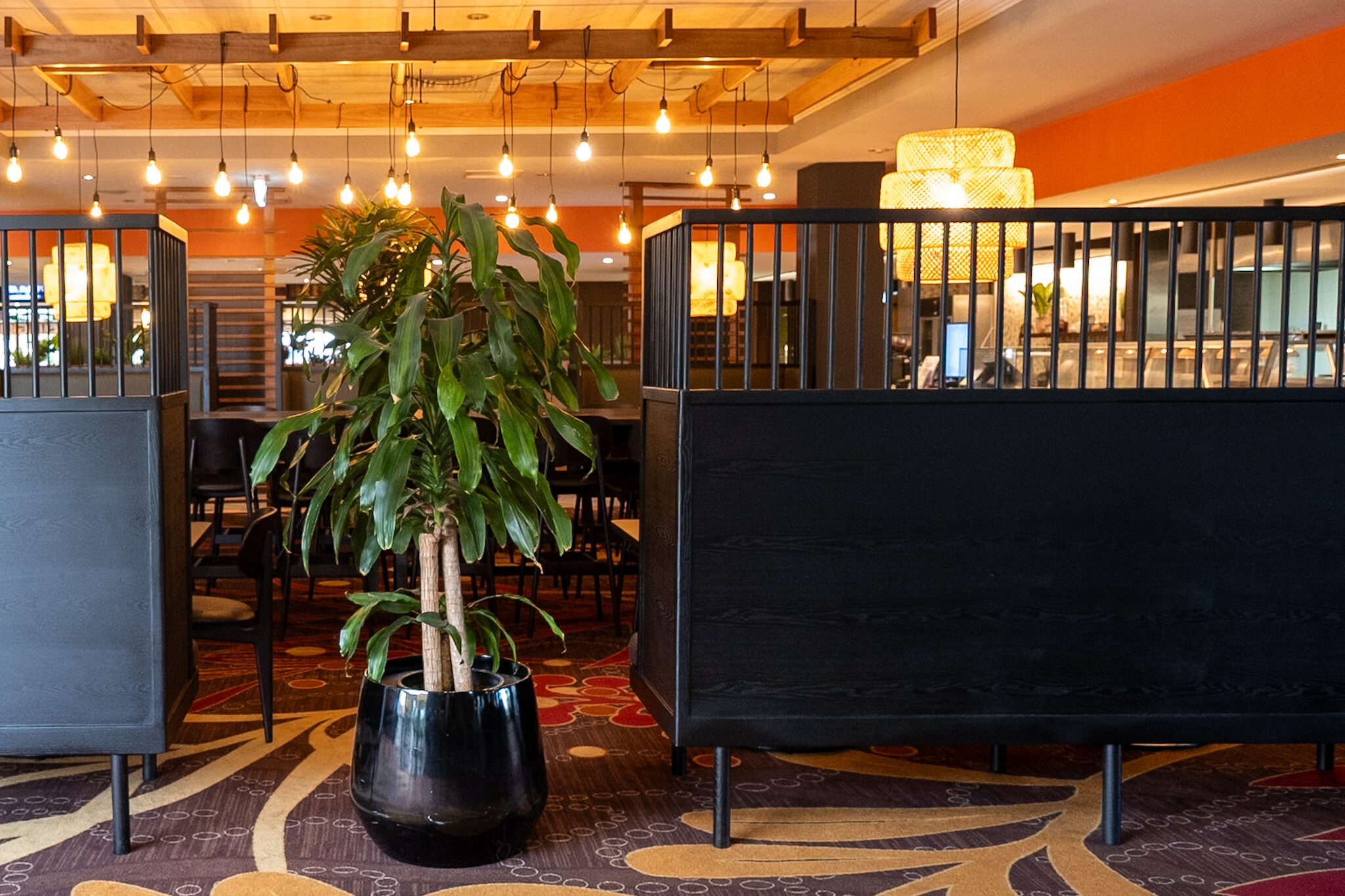 SOAR COLLECTIVE _ Treandline Group Bombaderry 29.5.2025-01