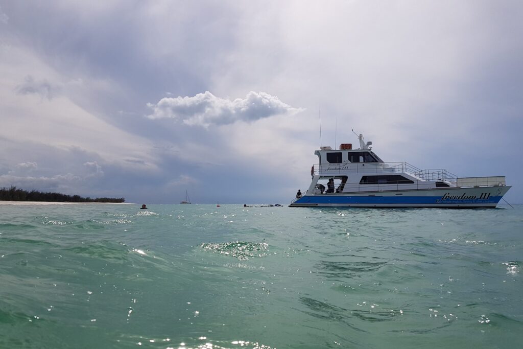 Trendline Group Team Freedom III 2